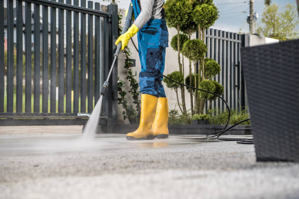 Animal Enclosure Cleaning in Herlong, CA